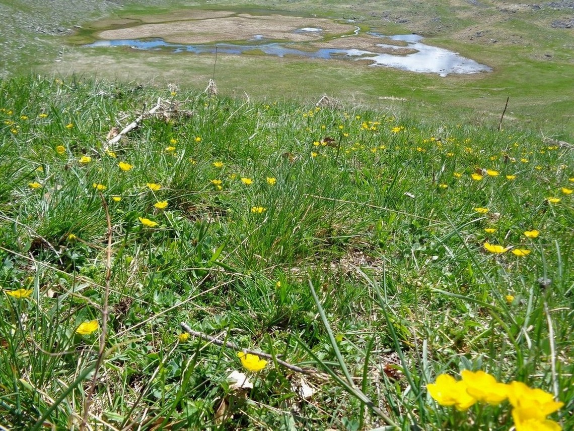 Dal Passo di Valle Cupella