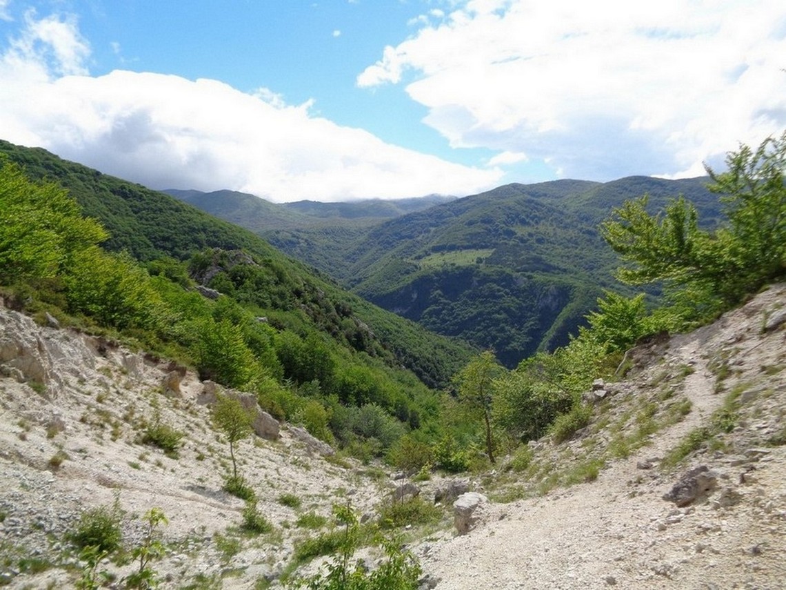 Splendidi paesaggi verdeggianti