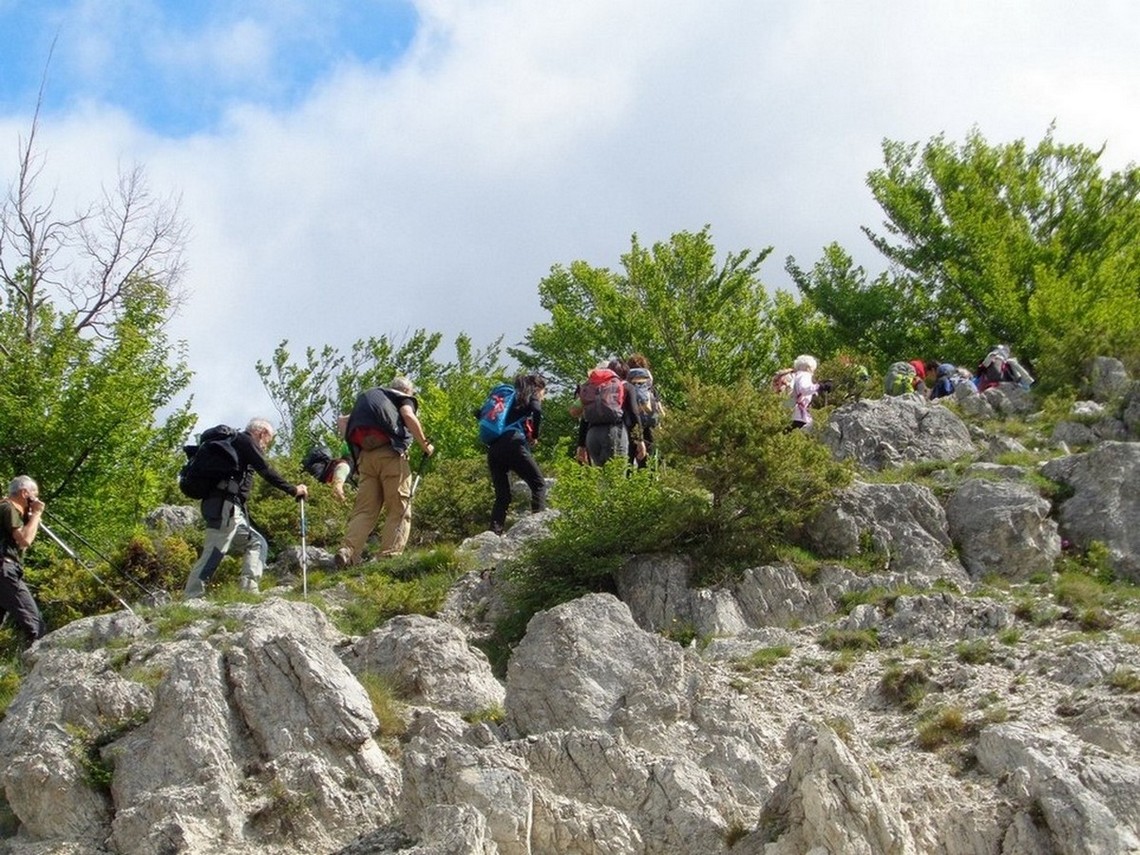 Il gruppo  in cresta