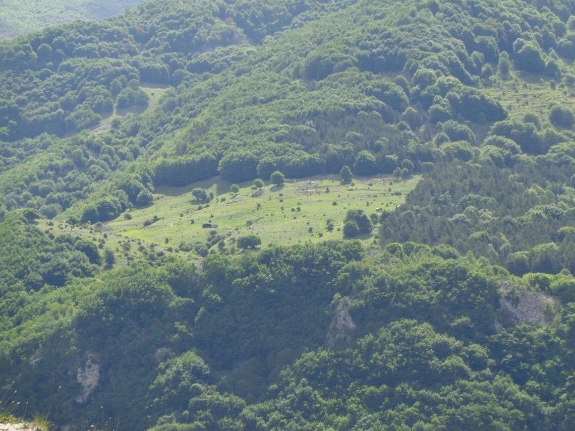Radura