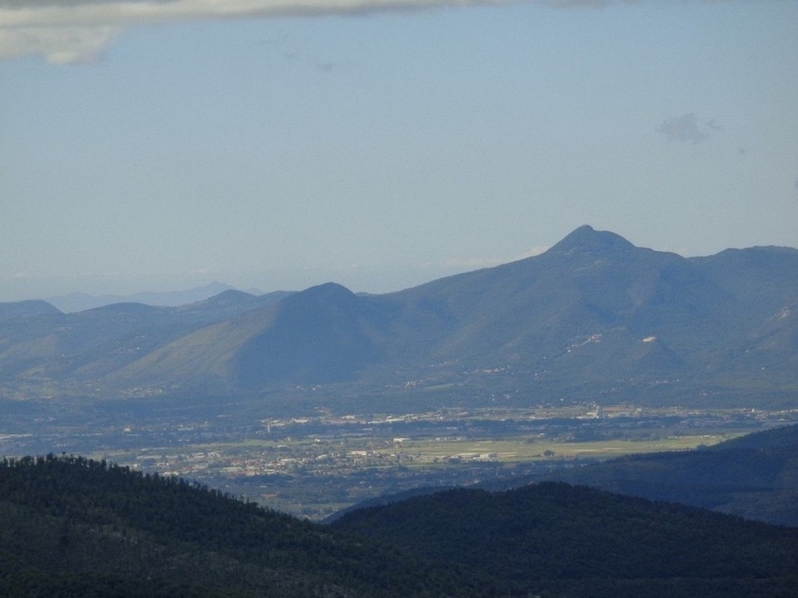 Particolare