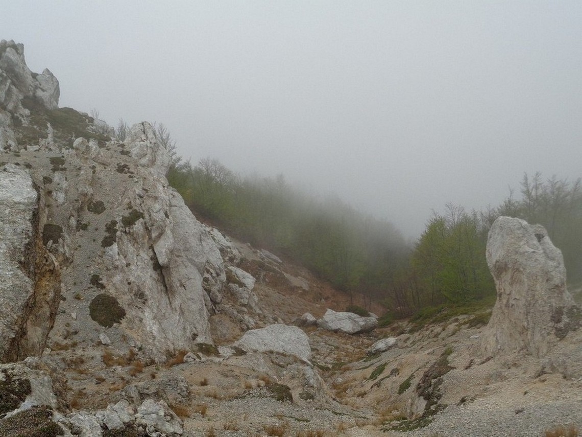 Passaggi in quota