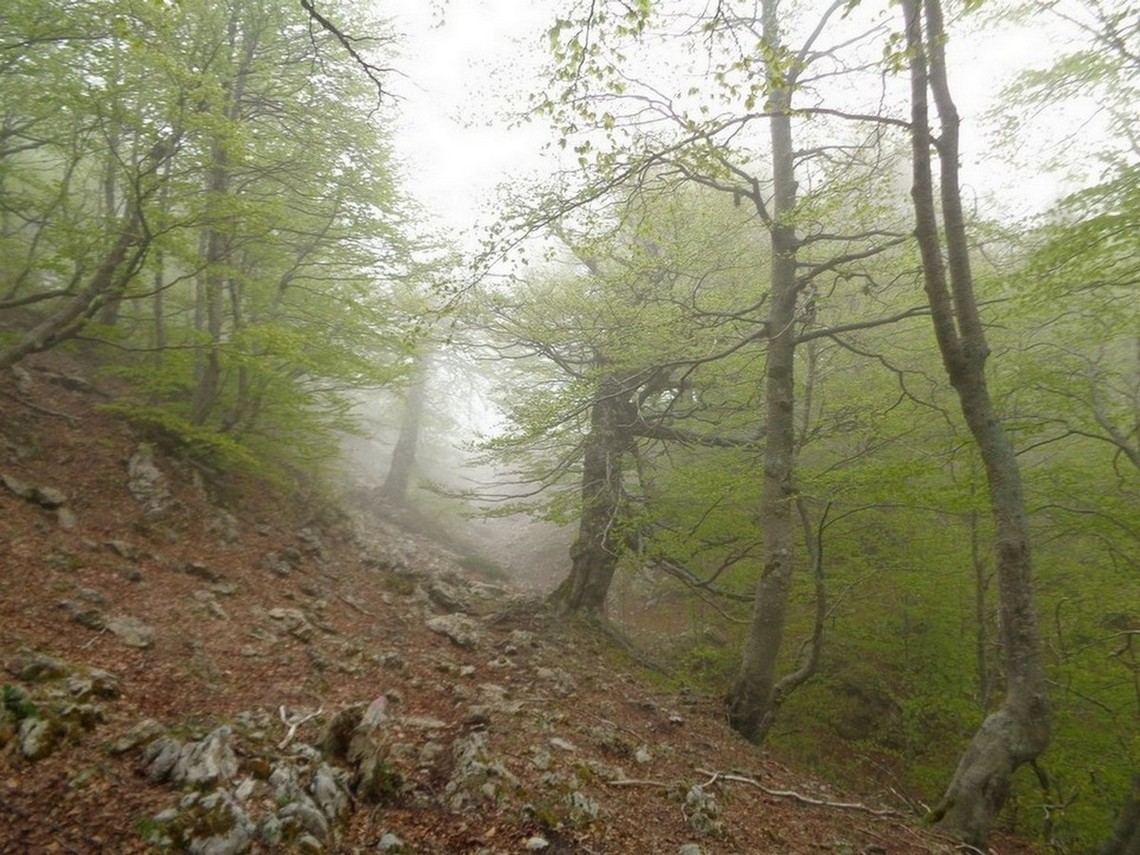 Si rientra nel bosco ma da un altra parte