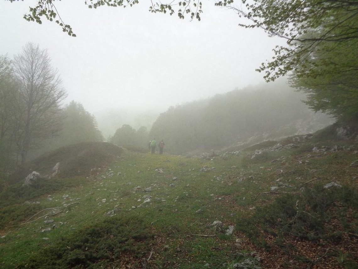 Speriamo che la nebbia diminuisca per vedere qualcosa