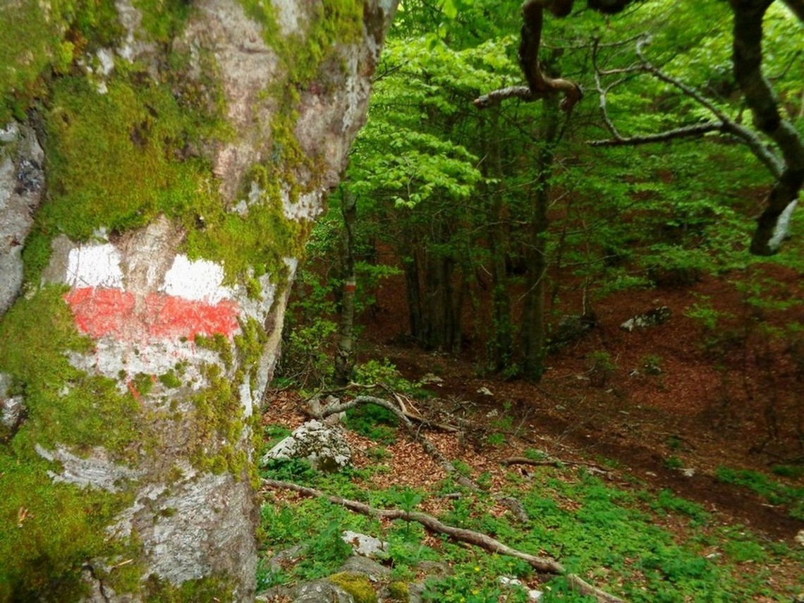 Ritornano i segni CAI