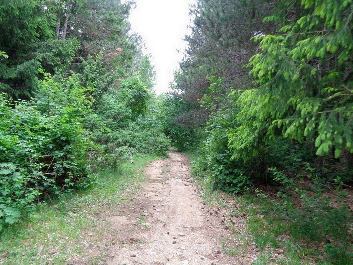 Incroci di strade