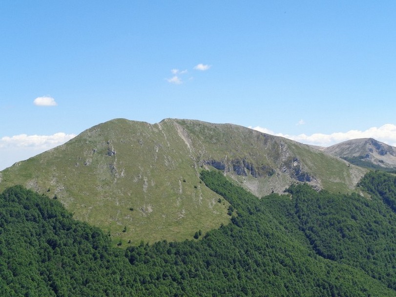 Il Monte Crepacuore dal Pratiglio