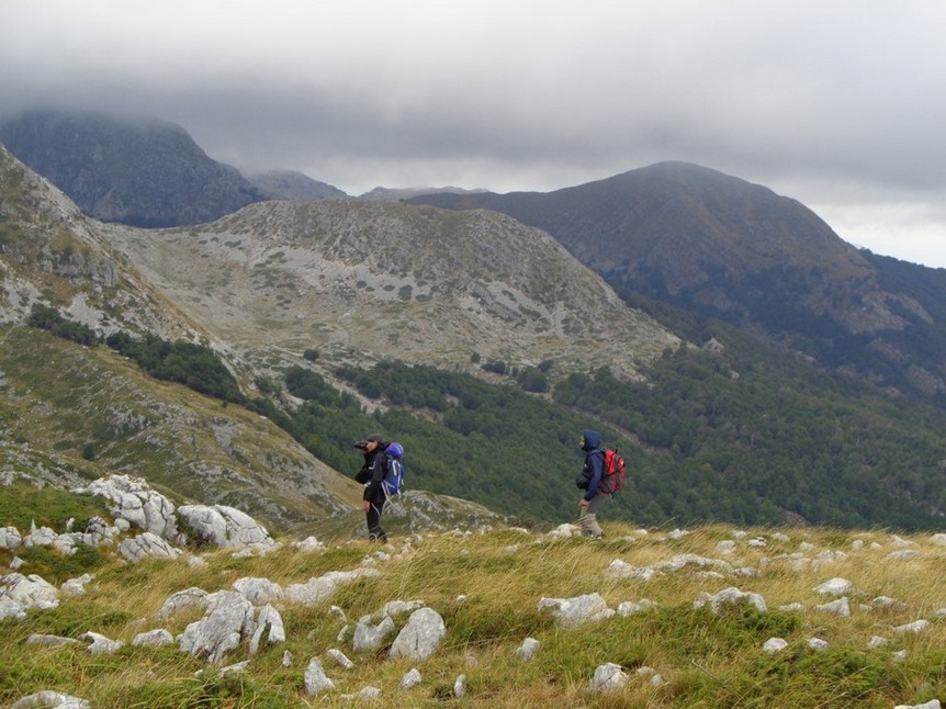 La Coppia del PNALM