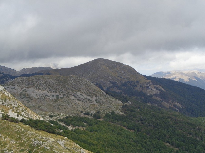 Verso il Petroso