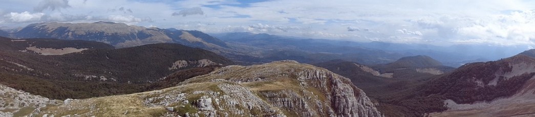 Panoramica