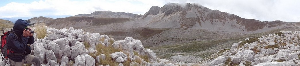 Silvio in panoramica