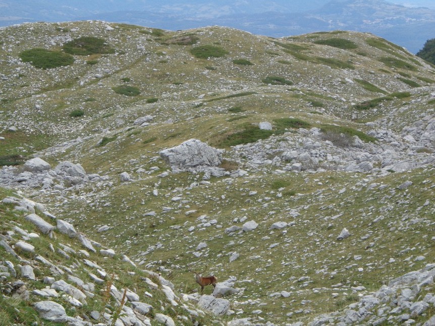 Poi si allontana