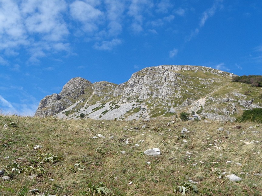 Oramai verso il bosco
