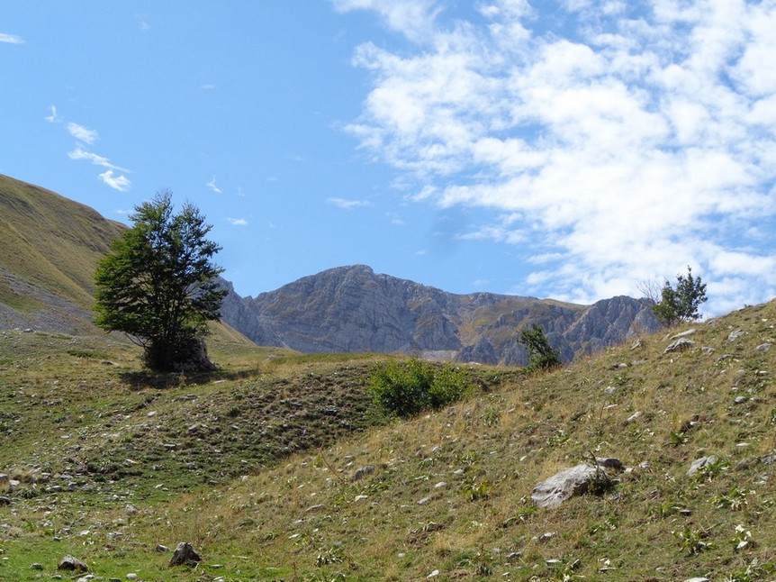 la radura prima