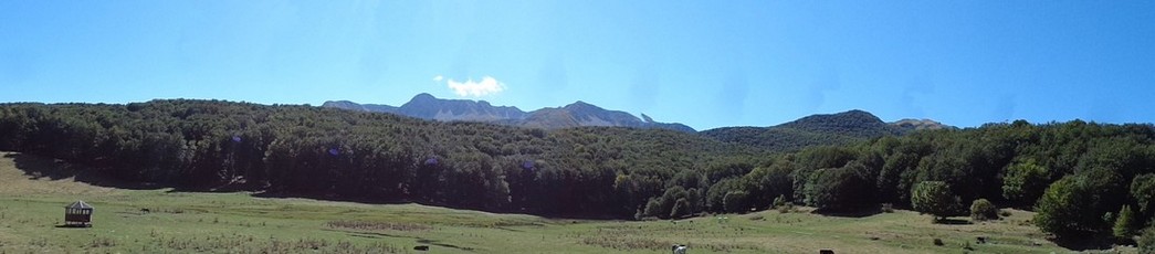 Panoramica