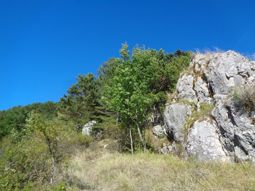 Inizia la impervia salita