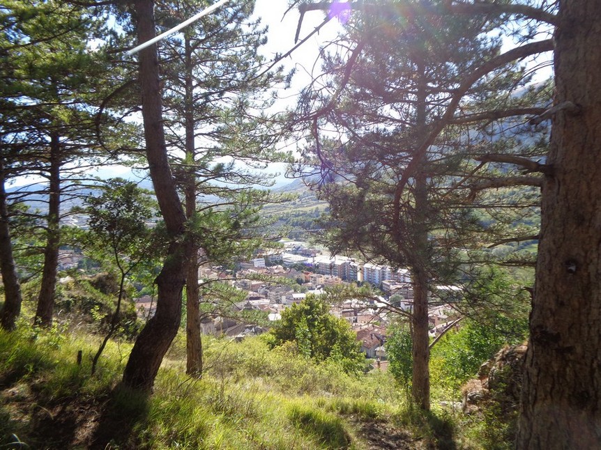 Dentro alla Pineta