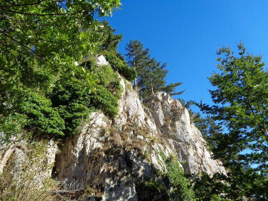 Speroni rocciosi