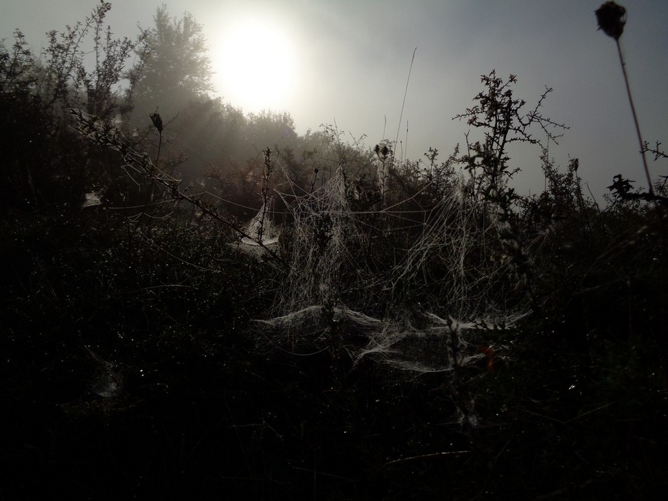 Contrasti di luci
