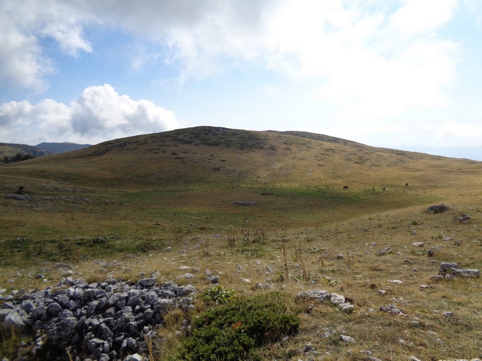 Stazzo Monte Rotondo 1797m