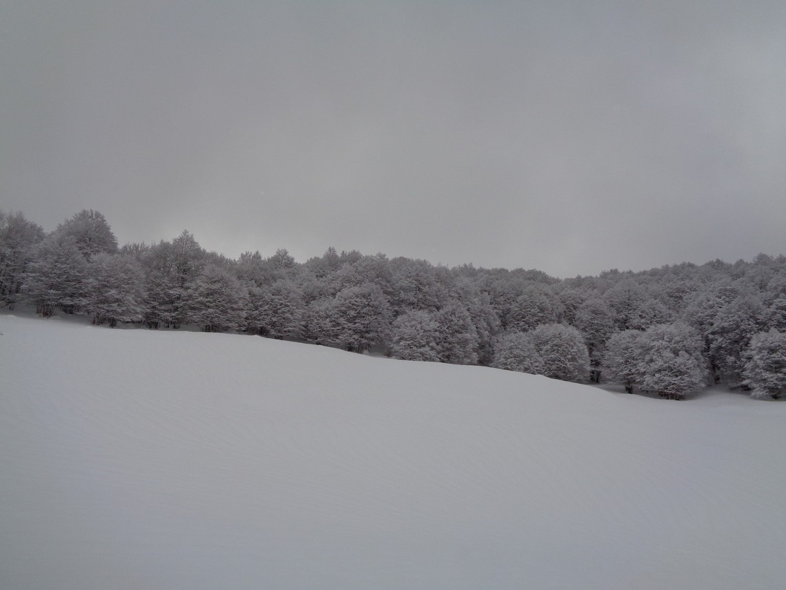 Nel PNALM