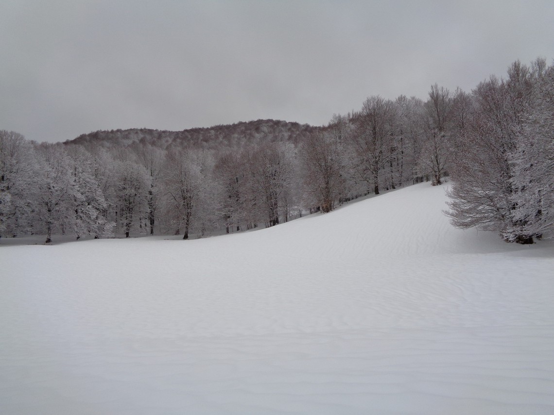 Neve magica