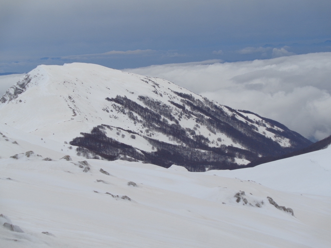 Verso il bosco
