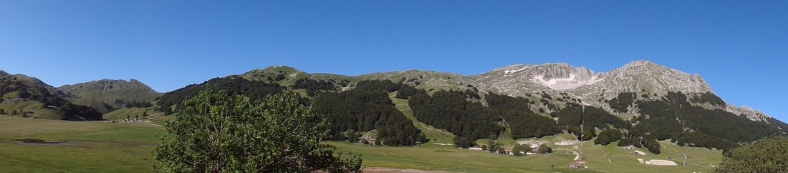 panoramica