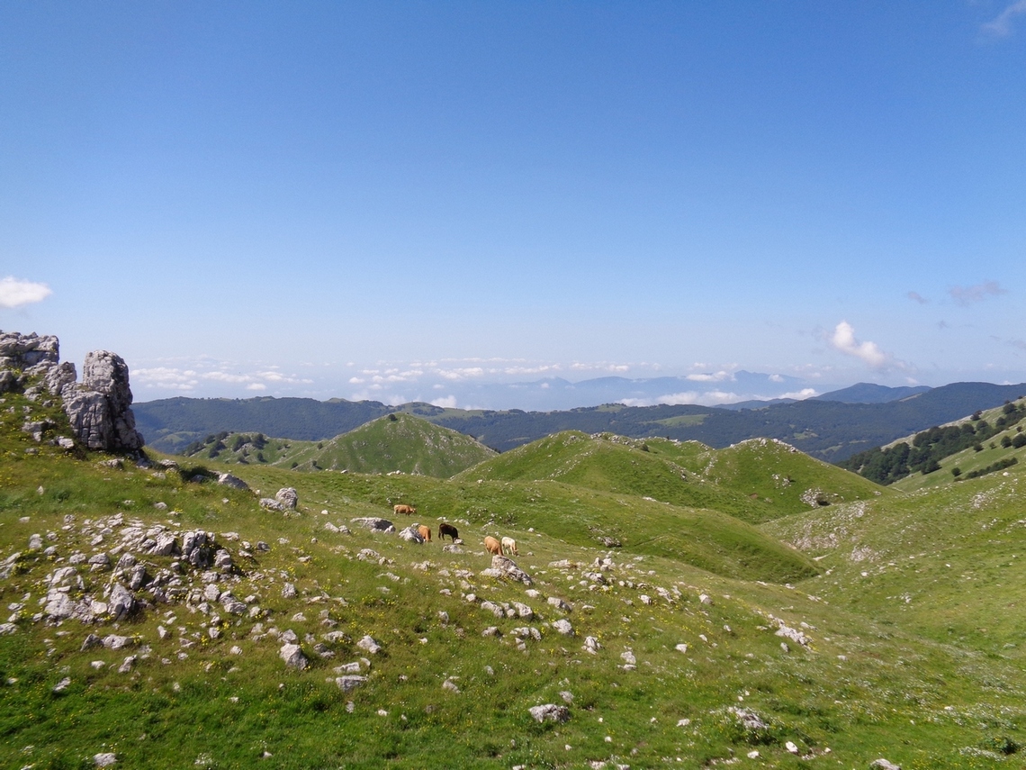verso campo dell'Arco