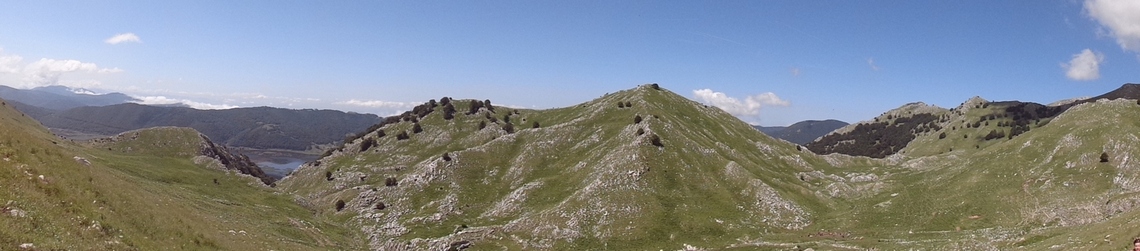 Cime secondarie