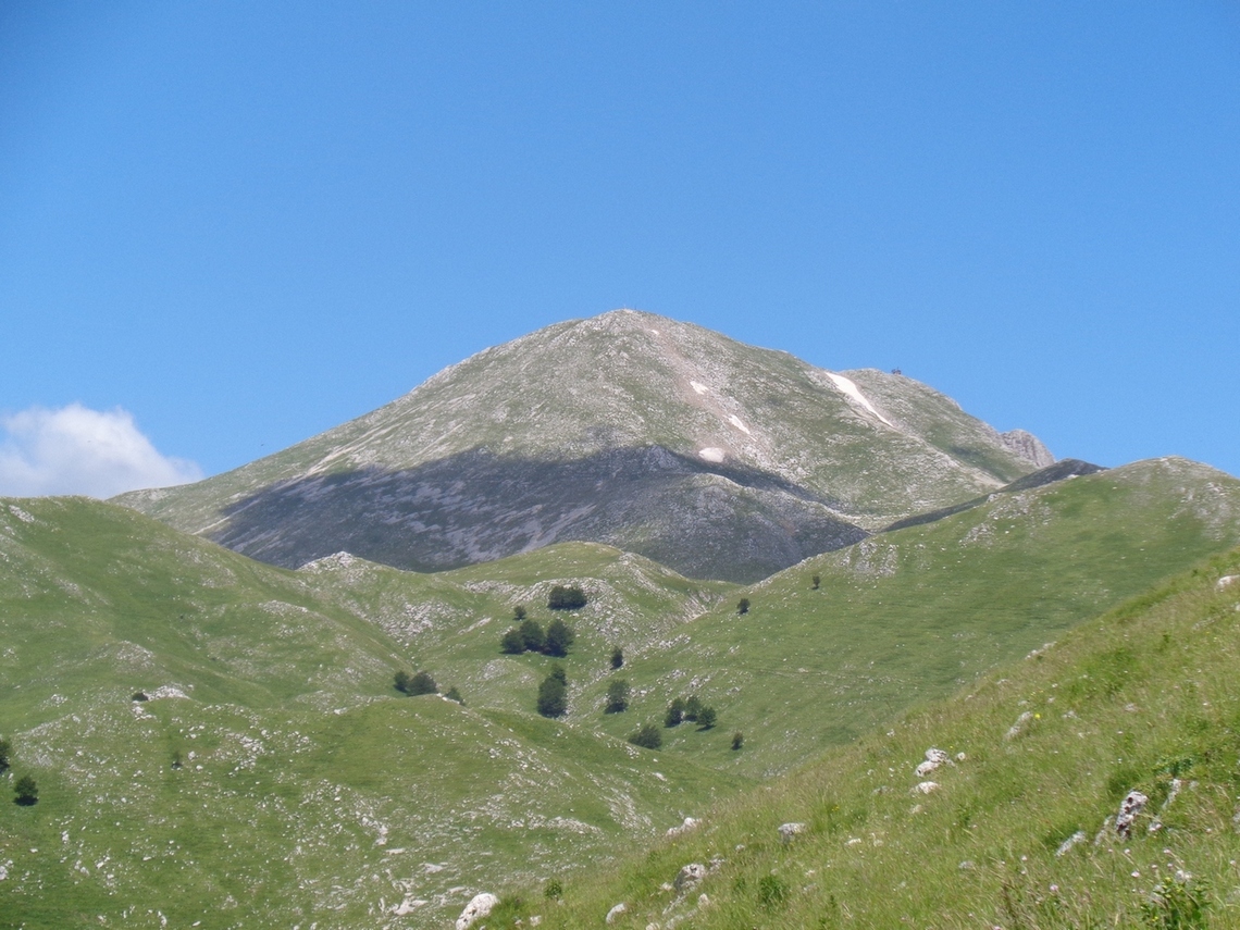 sempre lui