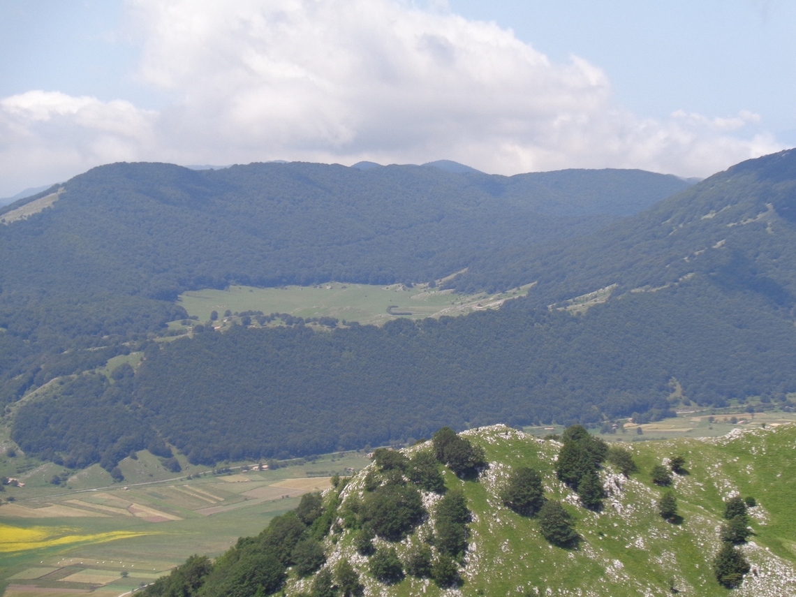 una radura in lontananza
