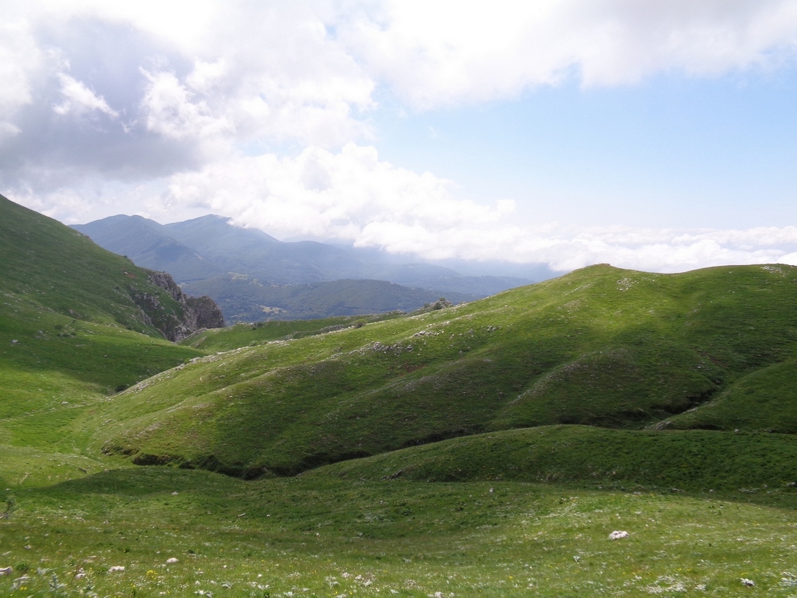 Si svalica di nuovo