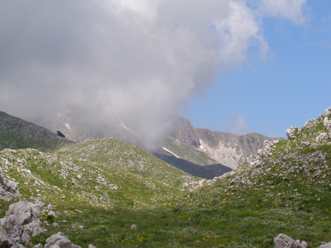 arriva la nebbia