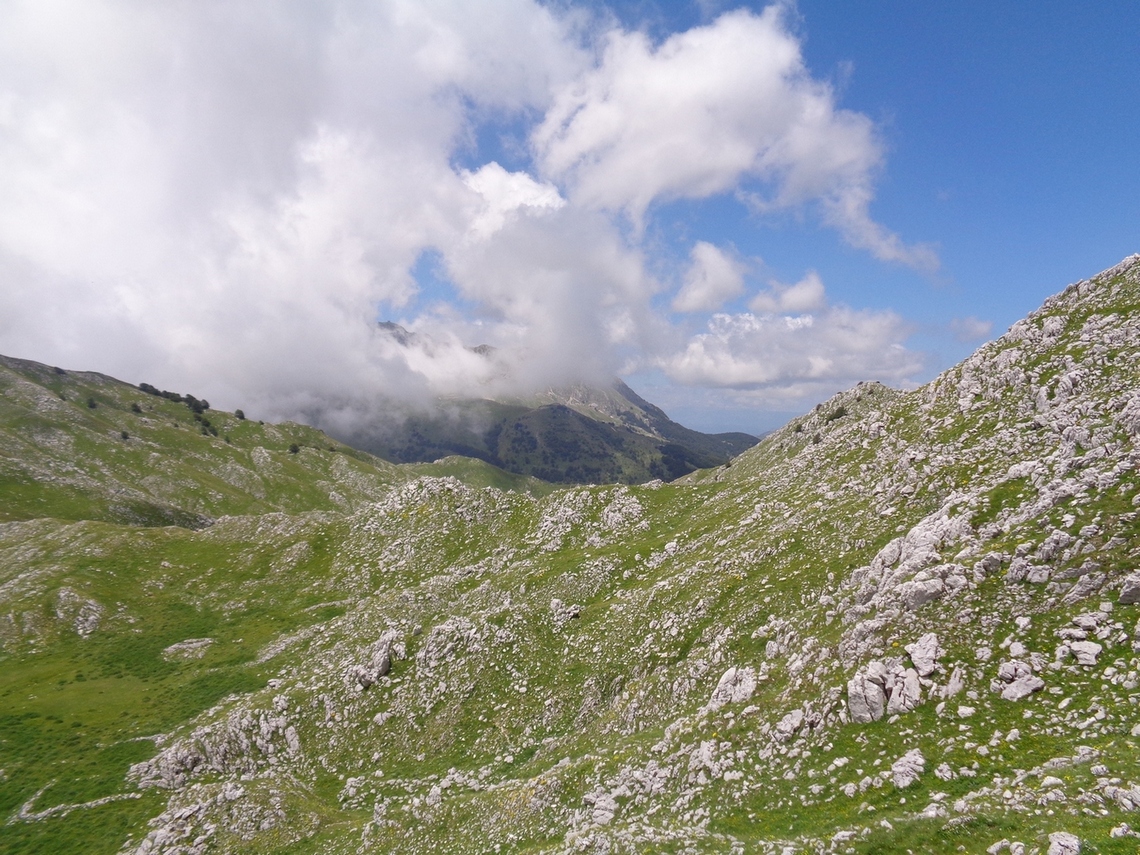 Rocce e verde