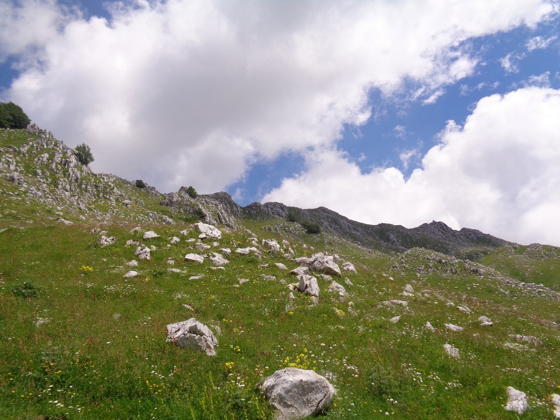 Dietro di noi