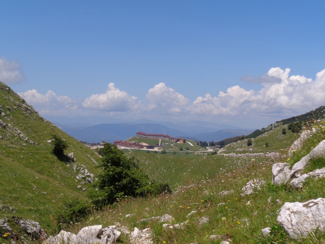 Campitello di nuovo