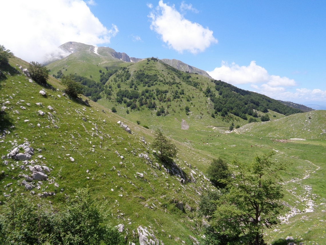 Arriveremo li sotto