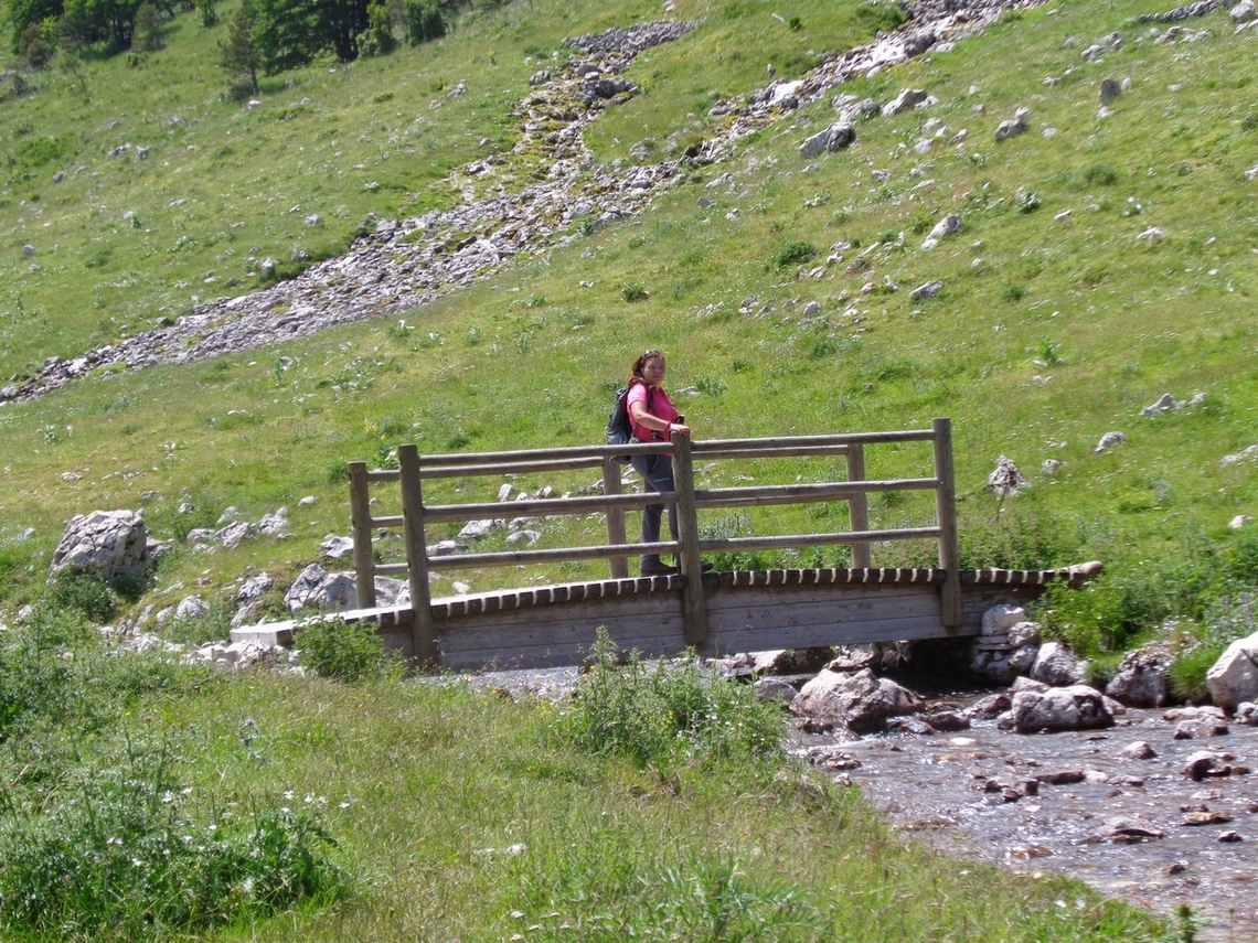 Ecco Sara