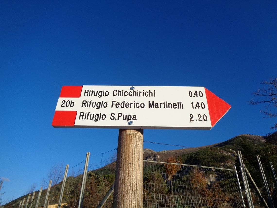 Indicazioni