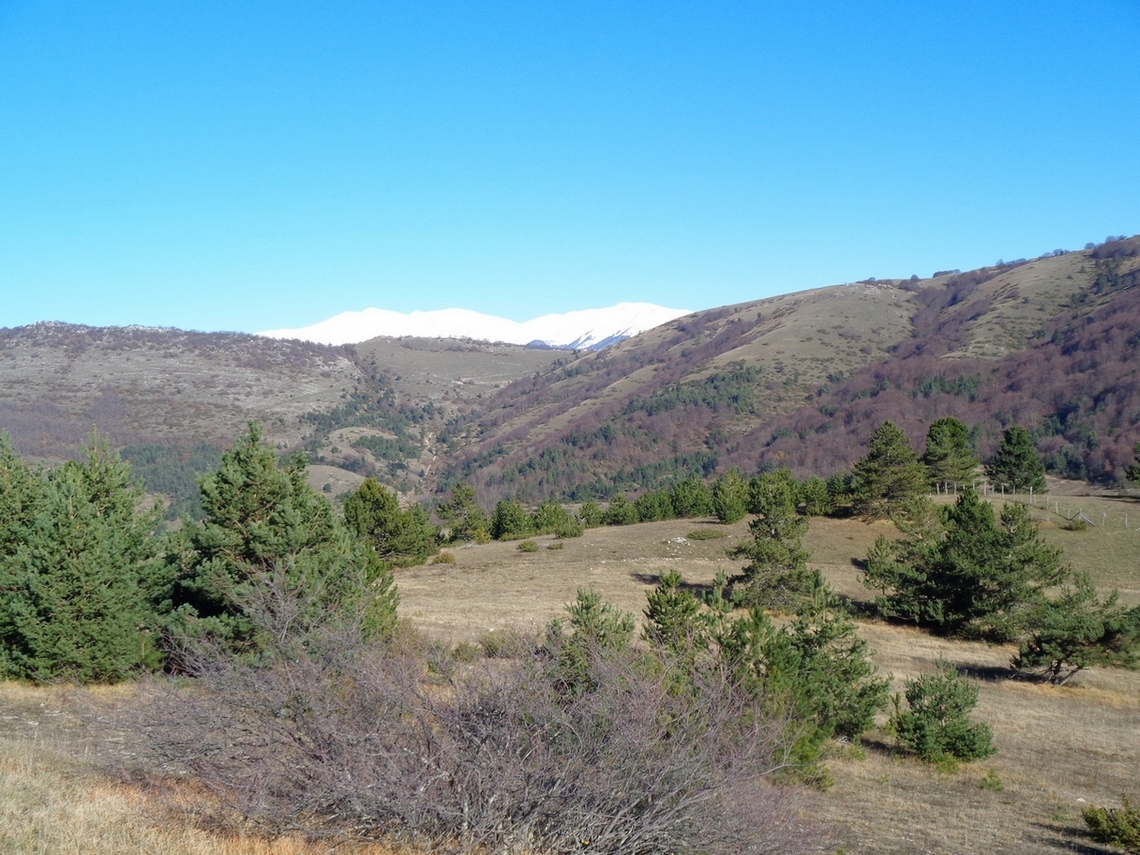Sullo sfondo inizia a vedersi il Corvo