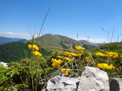 La natura che vivo...