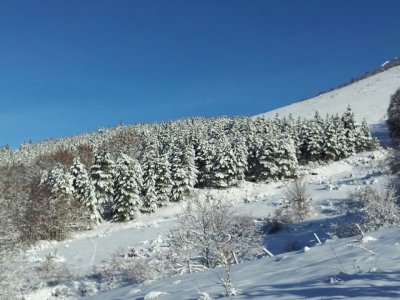Paesaggi del Nord...