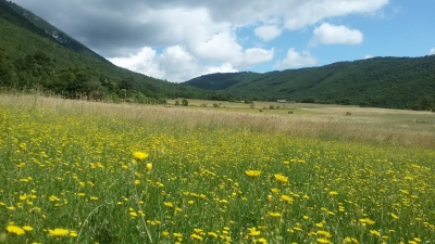 Verde...Giallo...Azzurro...