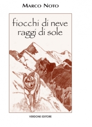 Fiocchi di Neve Raggi di Sole