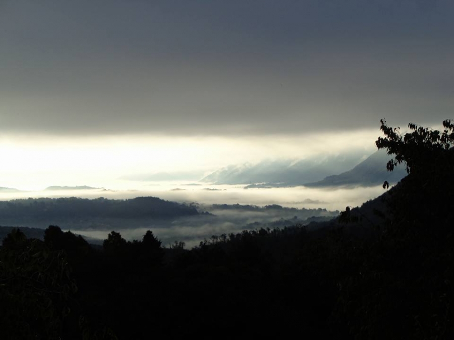 La bellezza...