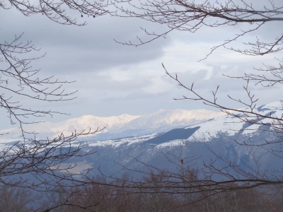 Guarda e ammira...