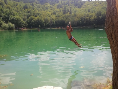 Liane