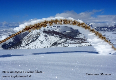 A volte la natura...