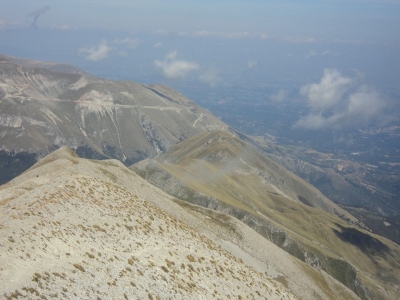 La Sibilla guarda...
